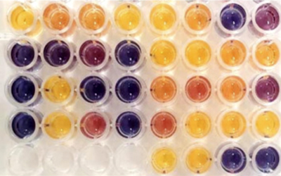 A Fun­gus that Re­duces Methane Emis­sions