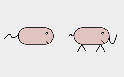Bu­tyrib­ac­terium, E.&nbsp;coli and the Ele­phant