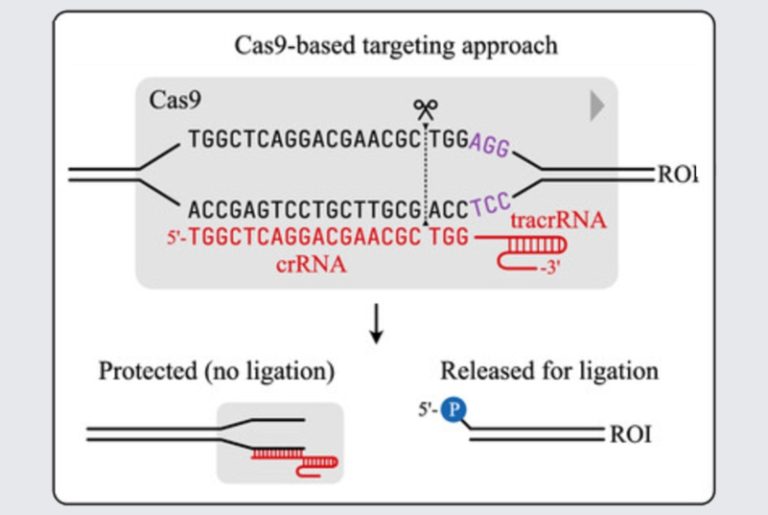 CRISPR-Based Metabar­cod­ing