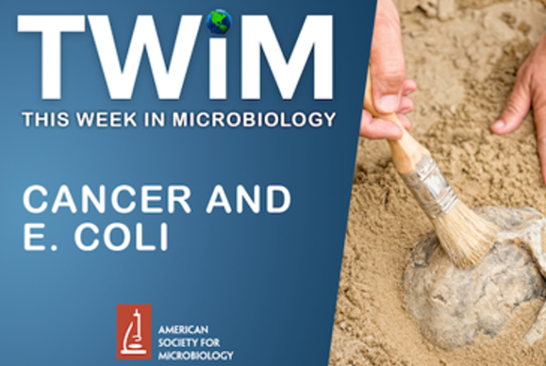 TWiM 288: Can­cer and E. coli