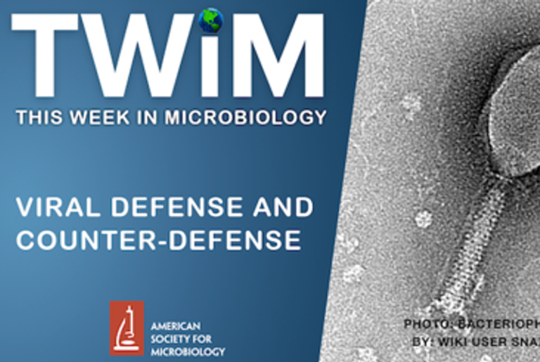 TWiM 289: Vi­ral De­fense and Counter-De­fense