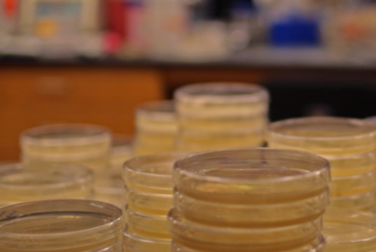 Think­ing About Sci­ence