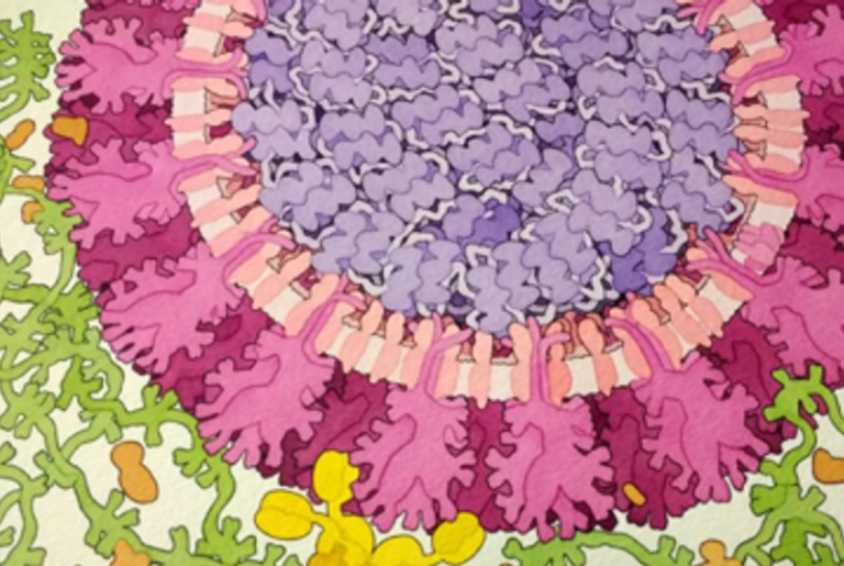 Virus? ...sim­ply a piece of bad news wrapped up in pro­tein.