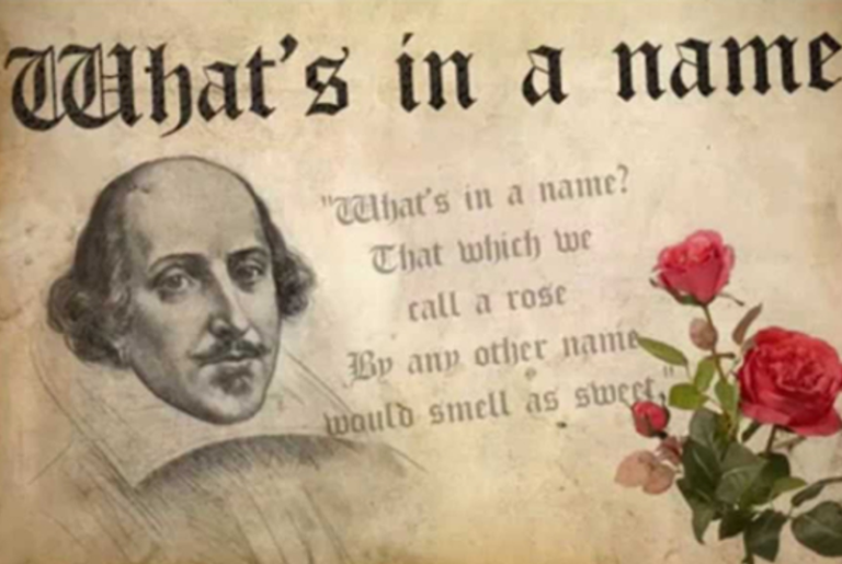 Names, New and Strange – A Snip­pet