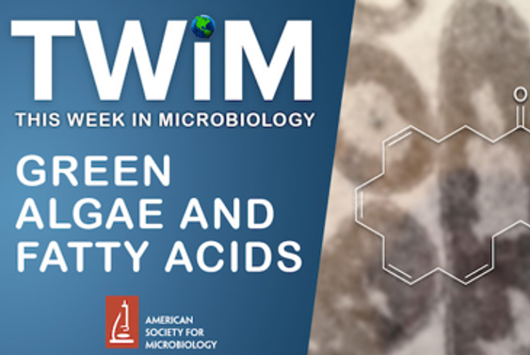 TWiM 235: Green al­gae and fatty acids
