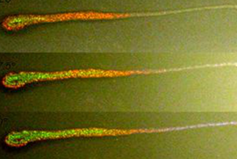 The Col­ors of the Mi­cro­bial Rain­bow