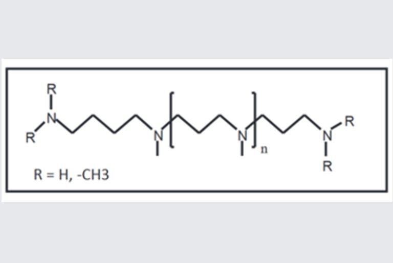 One Hun­dred Mil­lion Year Old Polyamines