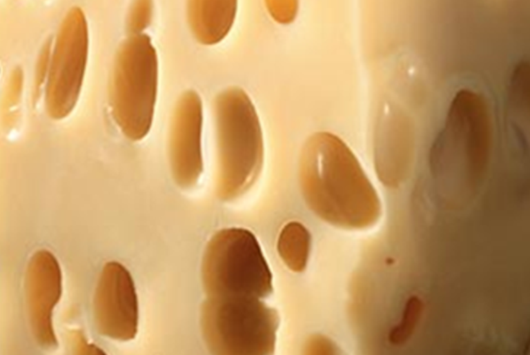 Ho­ley Biofilm!