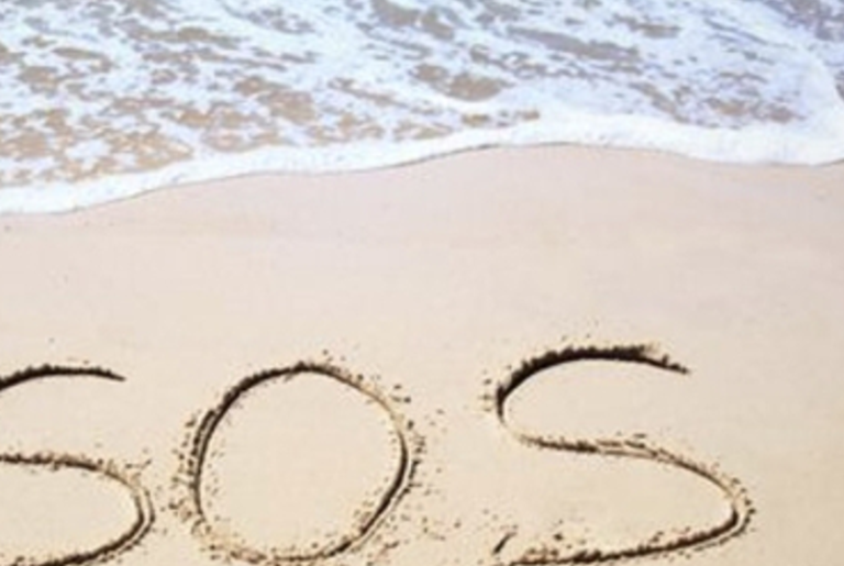 Phage Re­sponses to the SOS Re­sponse