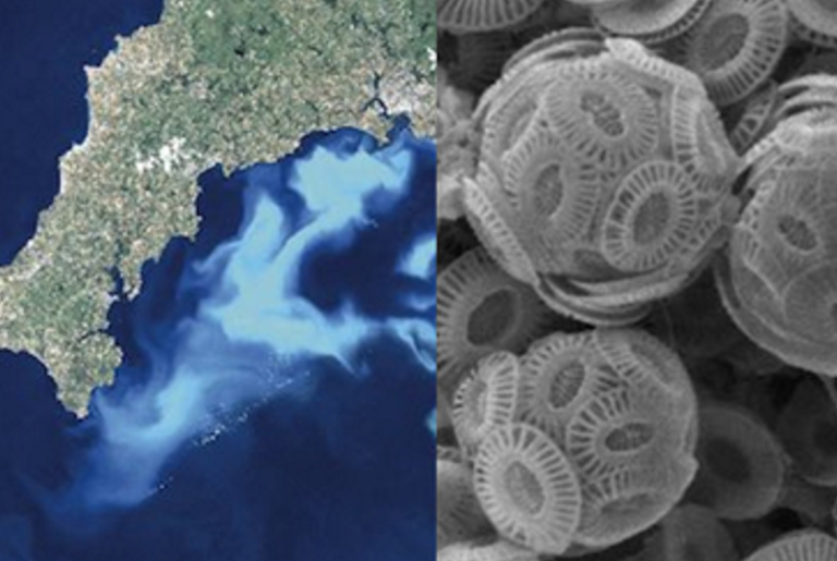 A Snip­pet: Oceanic Con­ver­sa­tions