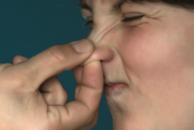 Fol­low Your Nose...