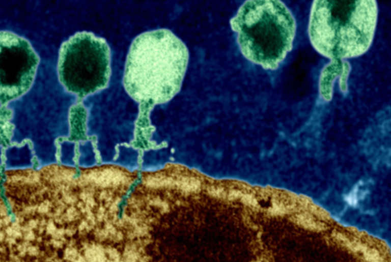 Get­ting CRISPR